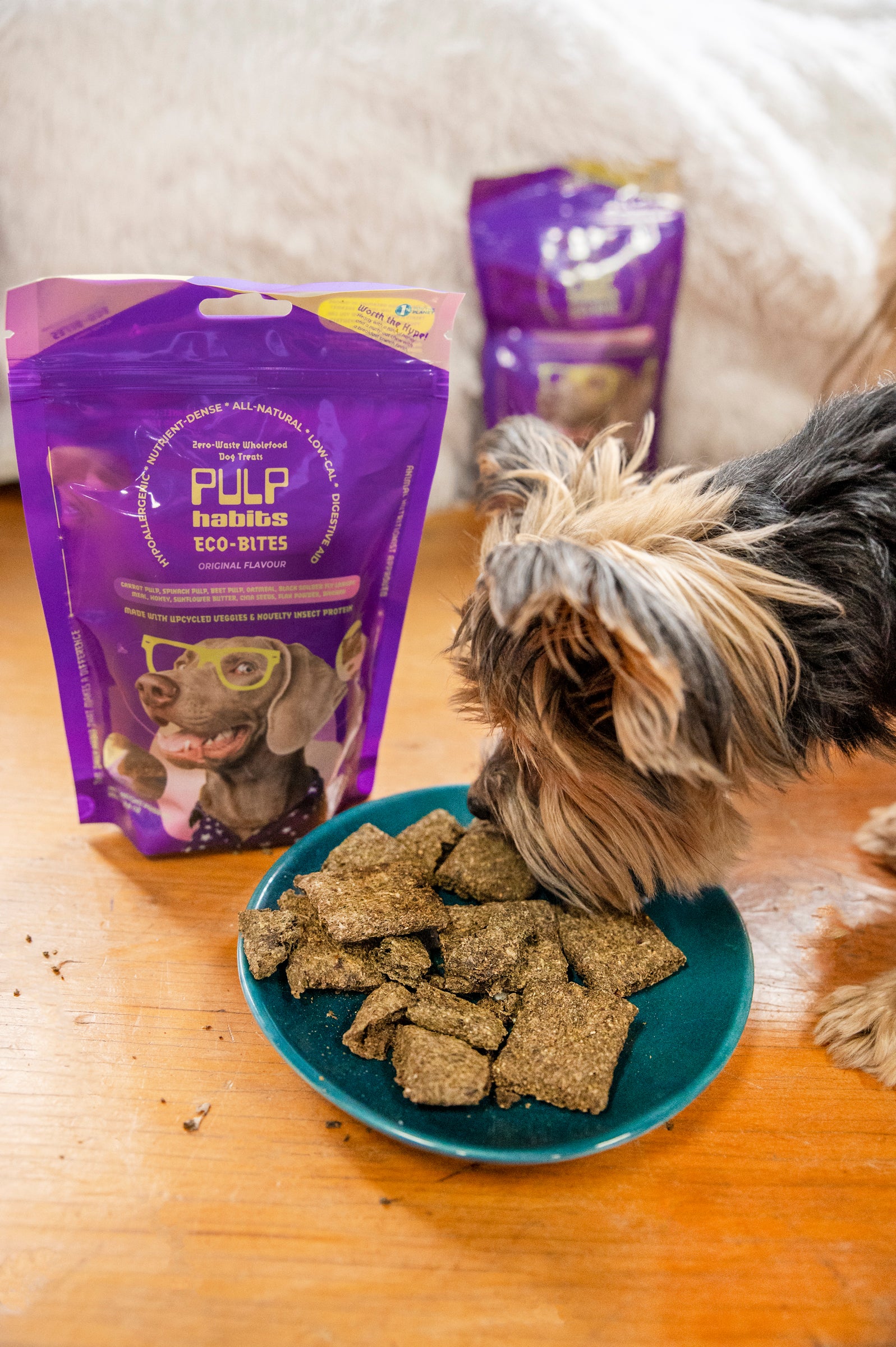 Let's Get Cooking! DIY Home-Made Dog Food Recipe Using Pulp Habits Eco-Bites