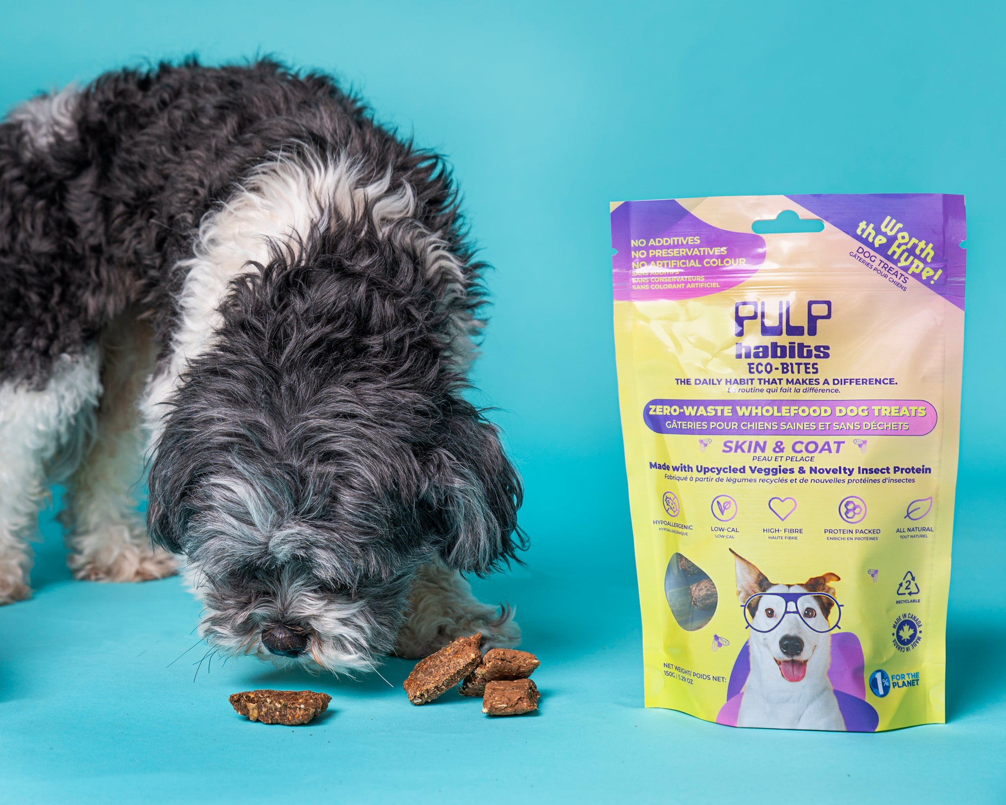 SKIN & COAT ECO-BITES